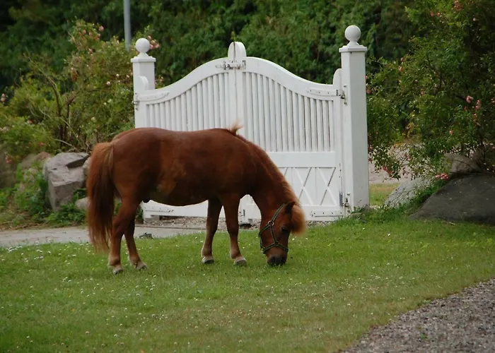 Ostseepferdehof Appartamento Neukirchen (Ostholstein)